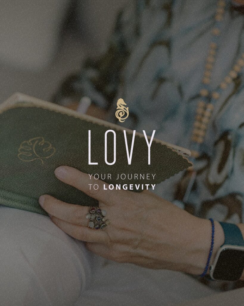 Markenbild von LOVY mit Logo – Branding von Wanda Soul Studio